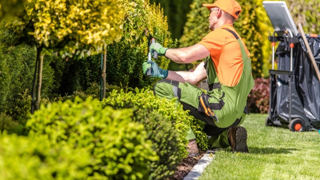 Mastering the Art of Landscape Maintenance: A Guide to Creating a Beautiful Outdoor Oasis