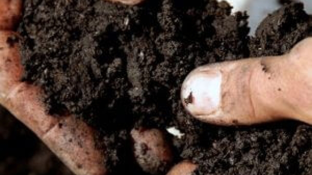 Nurturing Earth: The Secrets of Organic Soils and Fertilizers