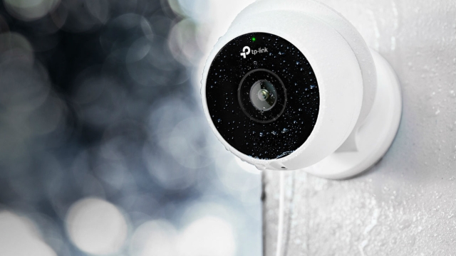 The Sentinel Eyes: Unveiling the Power of Security Cameras