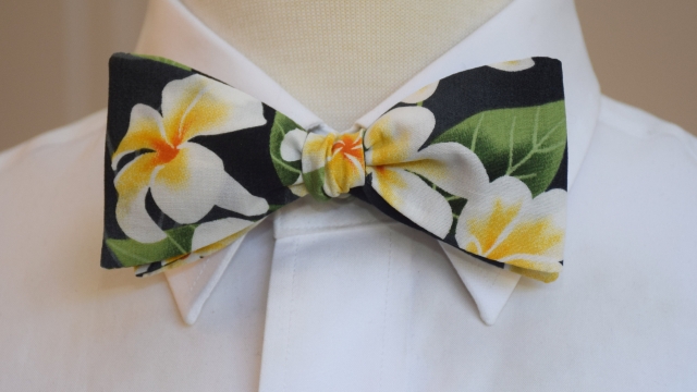 Tie the Knot with Style: Exploring Wedding Tie Options