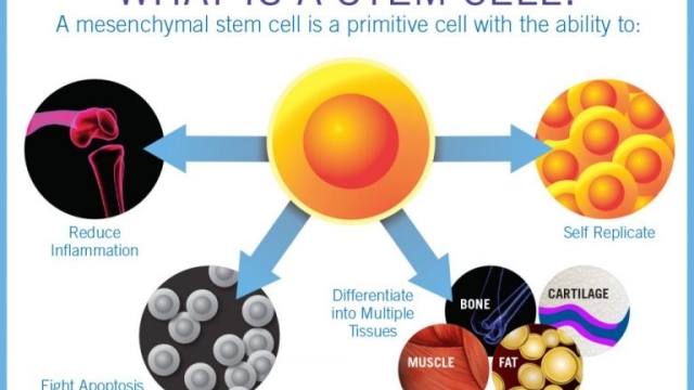 The Promising Potential of Stem Cell Therapy: Unlocking Healing and Regeneration