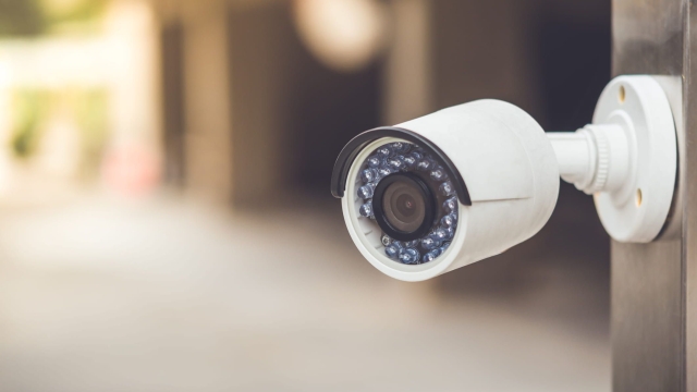 Guardians of the Watch: Unveiling the Eyes of Security Cameras