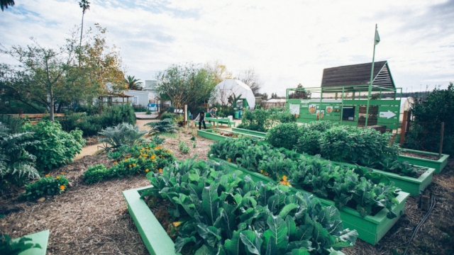 Incredible Harvests Await: Embracing the Art of Organic Gardening