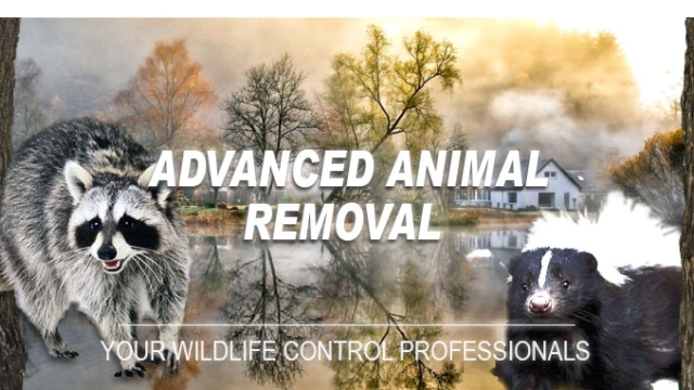 Gone Wild: Unveiling the Art of Wildlife Removal