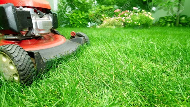 The Ultimate Guide to Achieving a Perfectly Manicured Lawn: Expert Tips and Techniques for Lawn Mowing and Care