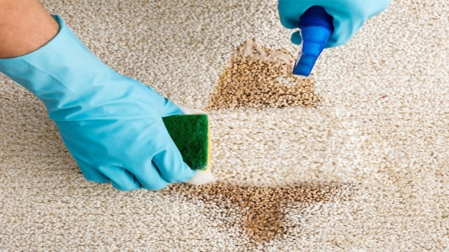 Uncover the Secrets to Sparkling Carpets: Expert Cleaning Tips