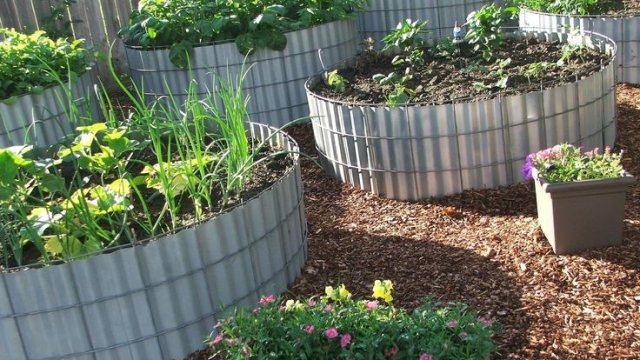 Blooming Success: Unveiling the Secrets of Garden Beds