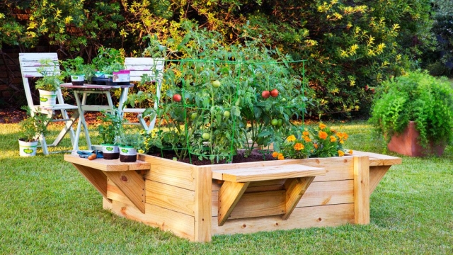 Unleashing the Magic: Creative Garden Bed Designs for Every Space
