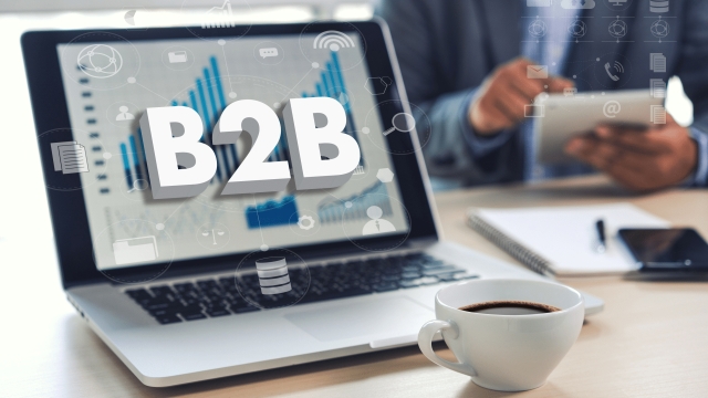 B2B Brilliance: Strategies for Success in Business-to-Business Marketing