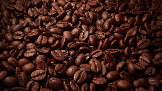 From Bean to Brew: The Art of Coffee Roasting and Grinding