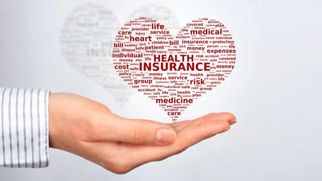 Insuring Your Tomorrow: Behind the Scenes of an Insurance Agency