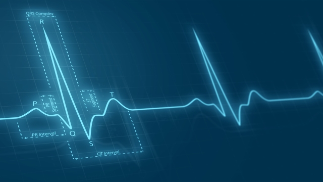 Navigating the Healthcare Labyrinth: A Guide to Your Medical Journey
